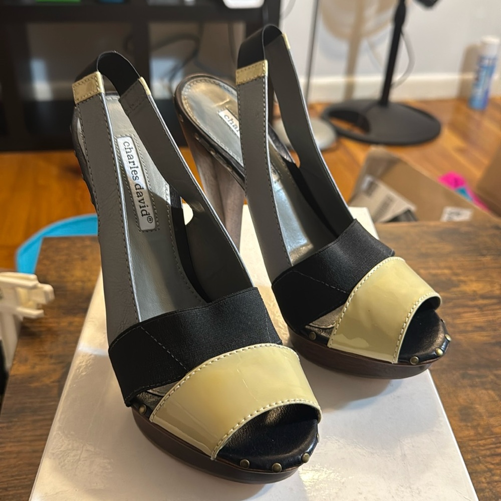 Charles David Azure Open Toe Shoe NWOT